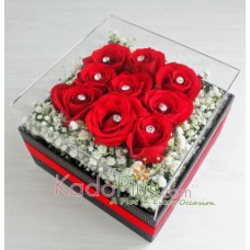Splendeur Box: Red Clarity
